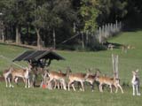 Sportmöglichkeiten in der Nähe vom Gasthaus Rübezahl