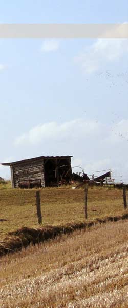 Die Umgebung vom Gasthaus Rübezahl